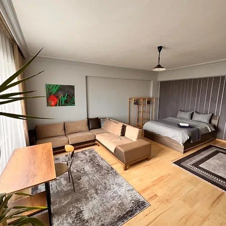Shared And Comfortable Bighouse *